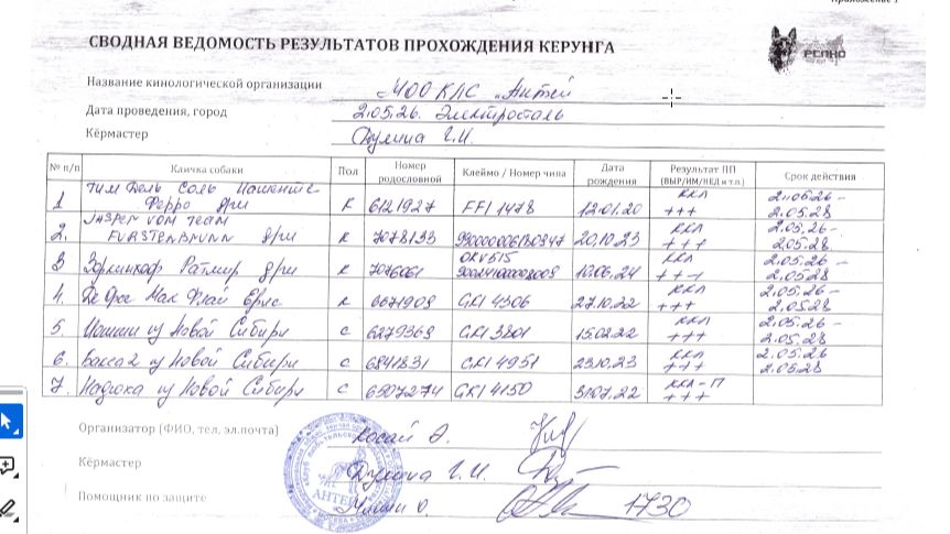 Кёрунг ЭЛЕКТРОСТАЛЬ (МО) 02 мая`26 (Г.Дулина) 11 собак