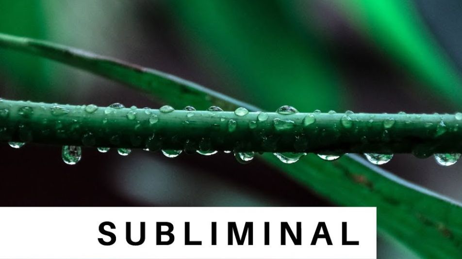 Саблиминалы Евгения Закирова (Subliminal Russia / ZEN Subliminals)