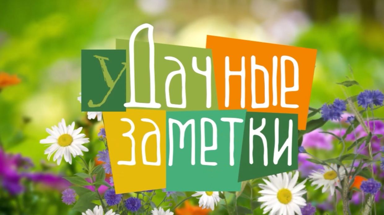 Удачные заметки