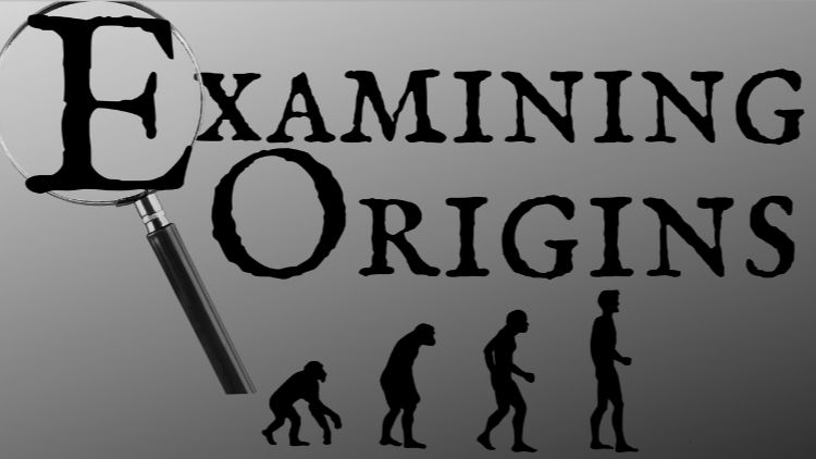 ИЗУЧЕНИЕ ПРОИСХОЖДЕНИЯ / Examining Origins