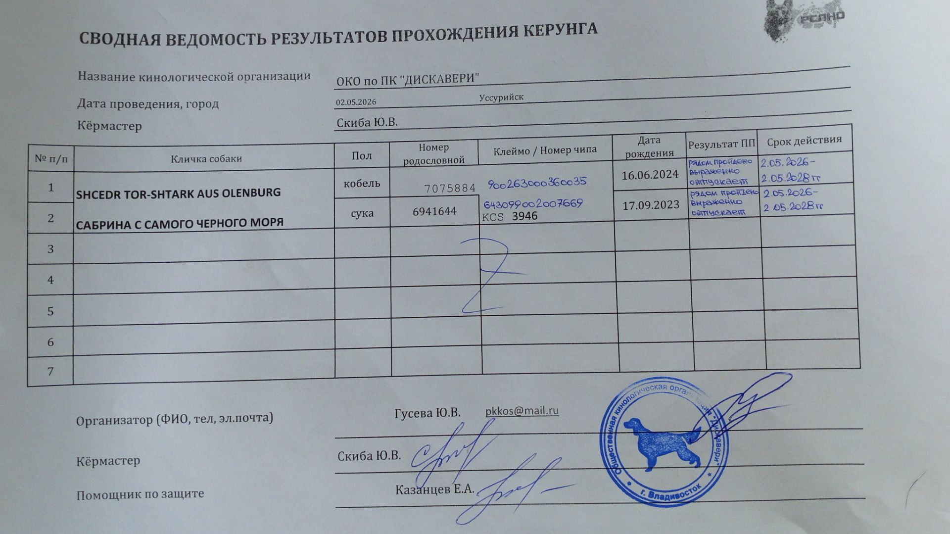Кёрунг УССУРИЙСК 02 мая`26 (Ю.Скиба) 2 собаки