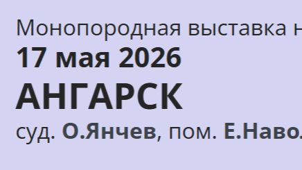 КЧК АНГАРСК 17 мая`26 О.Янчев Моно немецких овчарок