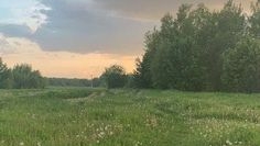🎀🐦семья астер 🐦🎀