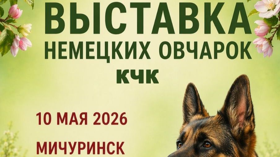 КЧК МИЧУРИНСК 10 мая`26 М.Качалкина Моно немецких овчарок