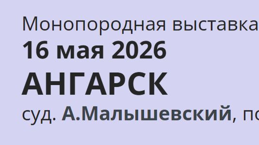 КЧК АНГАРСК 16 мая`26 А.Малышевский Моно немецких овчарок