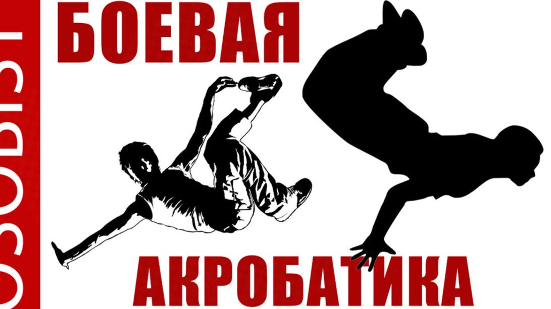 Боевая акробатика