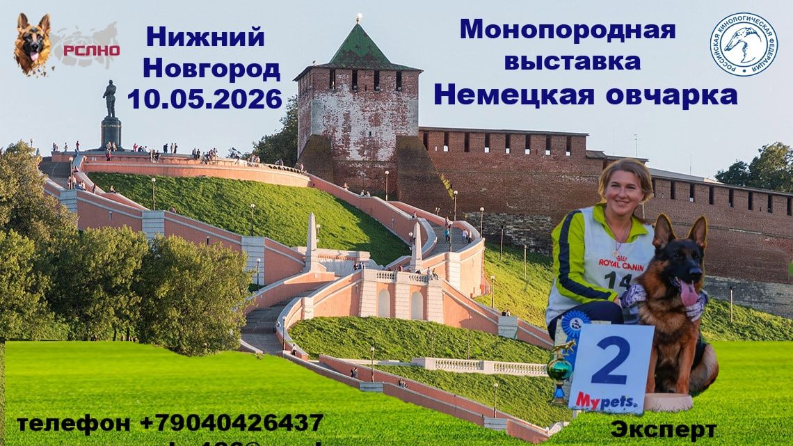 КЧК НИЖНИЙ НОВГОРОД 10 мая`26 О.Семенова Моно немецких овчарок