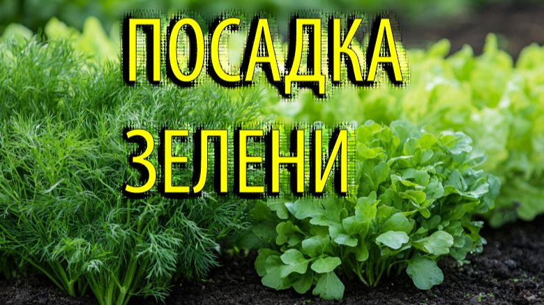 ПОСАДКА ЗЕЛЕНИ