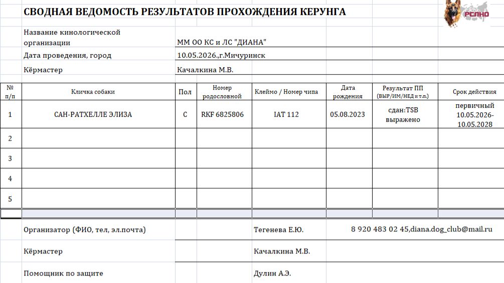 Кёрунг МИЧУРИНСК 10 мая`26 (М.Качалкина) 1 собака
