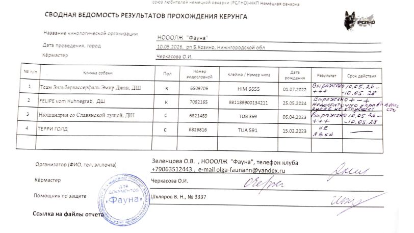 Кёрунг НИЖНИЙ НОВГОРОД 10 мая`26 (О.Черкасова) 4 собаки