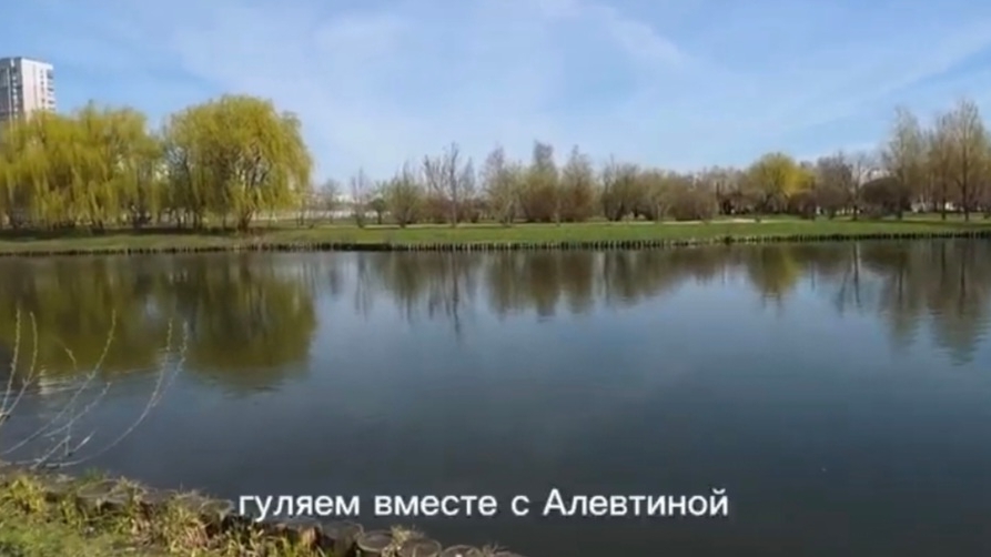 Парки и природа Москвы, Подмосковья и России