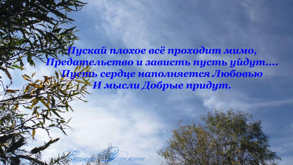 Музыка, песни, стихи