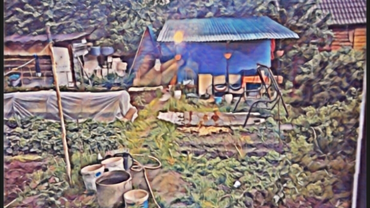 штаны для