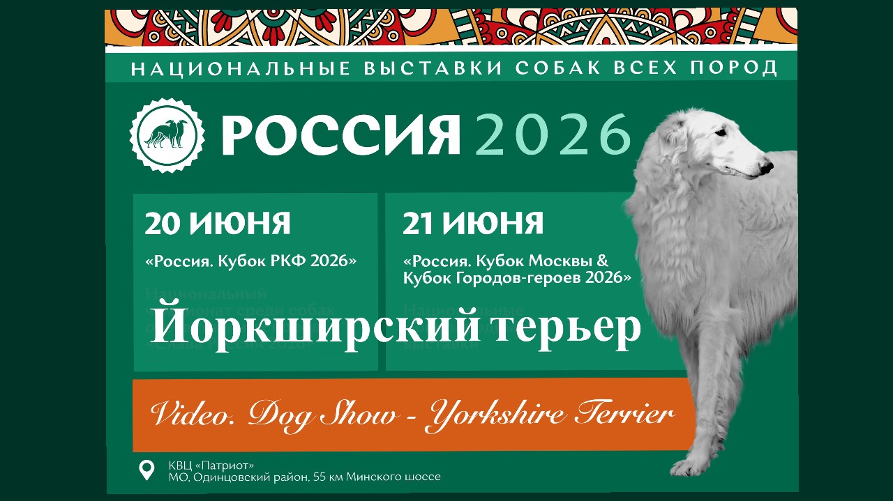 NDS «RUSSIA 2026»