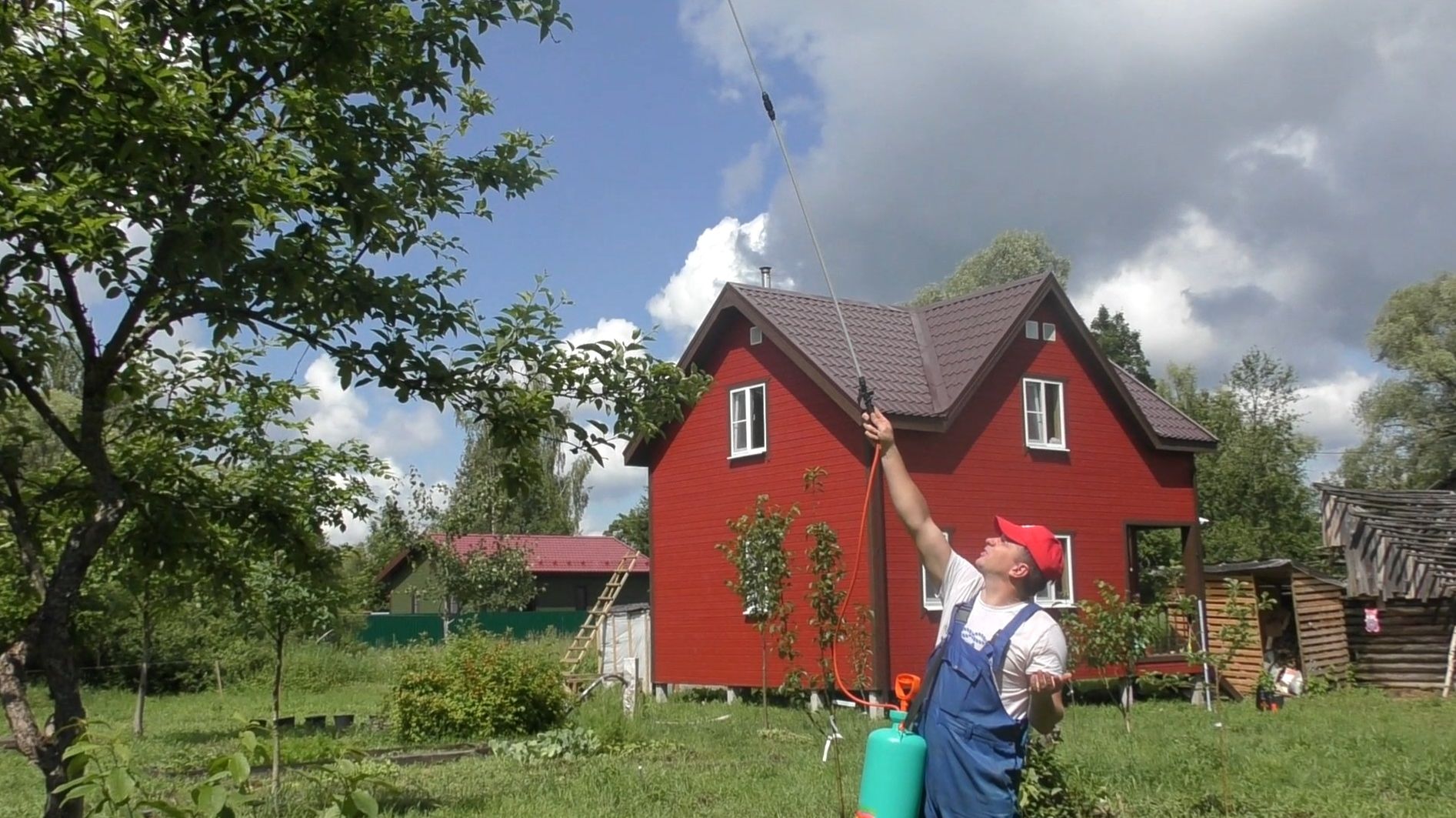 Плодовые деревья