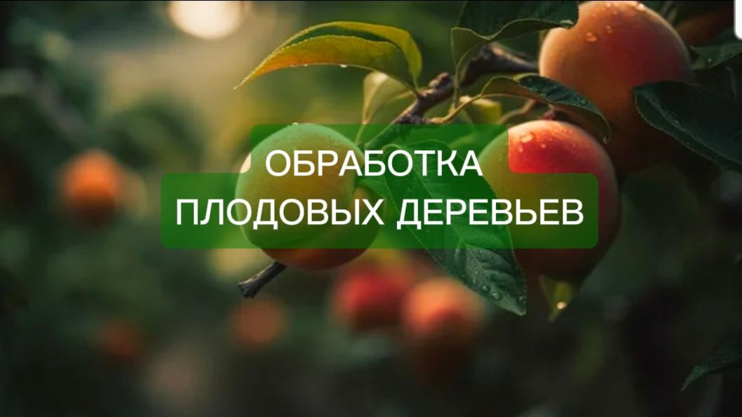ОБРАБОТКА САДА от вредителей и болезней