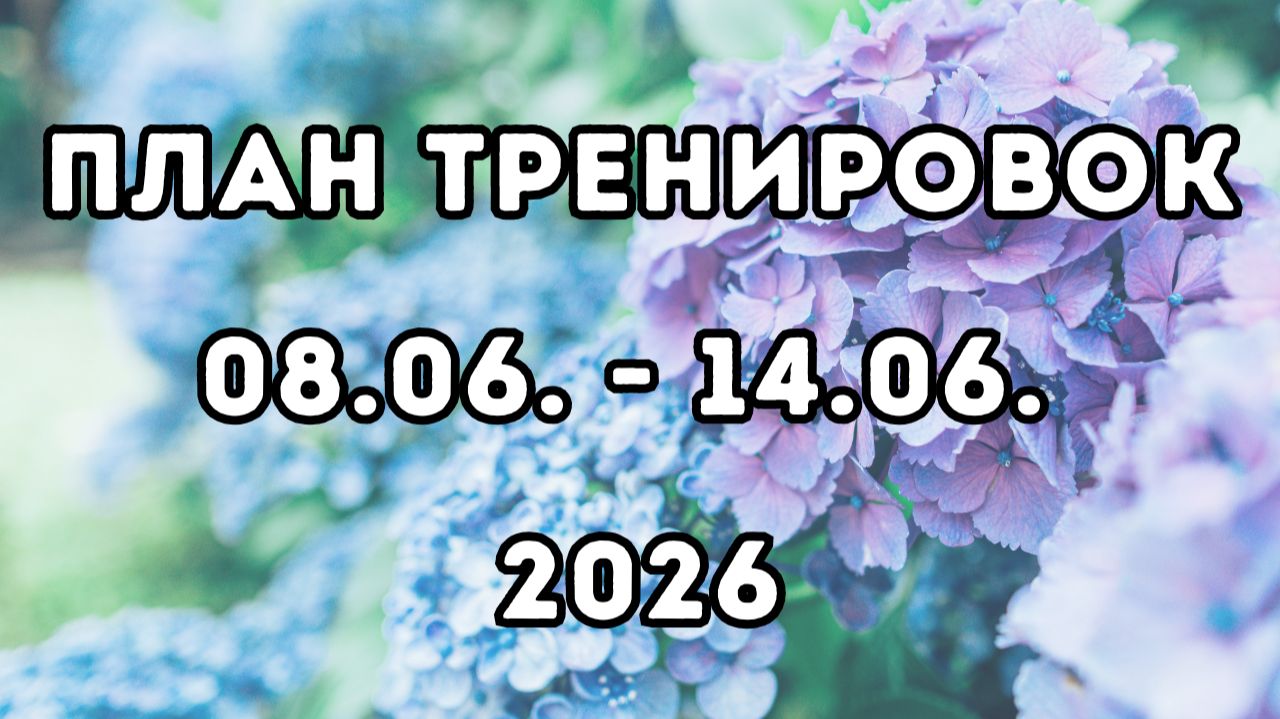 План тренировок, 2-я неделя июнь 2026