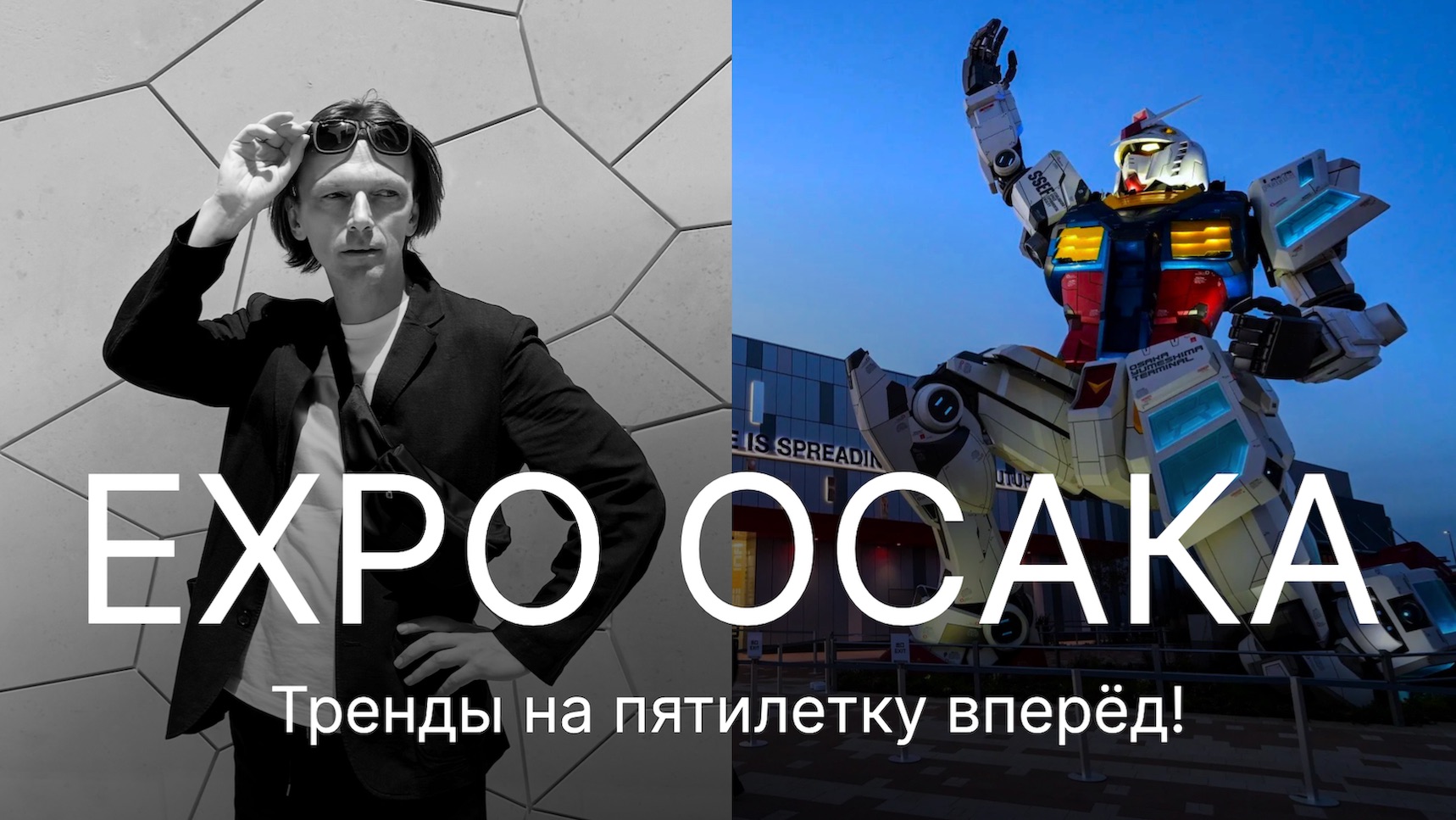 Япония