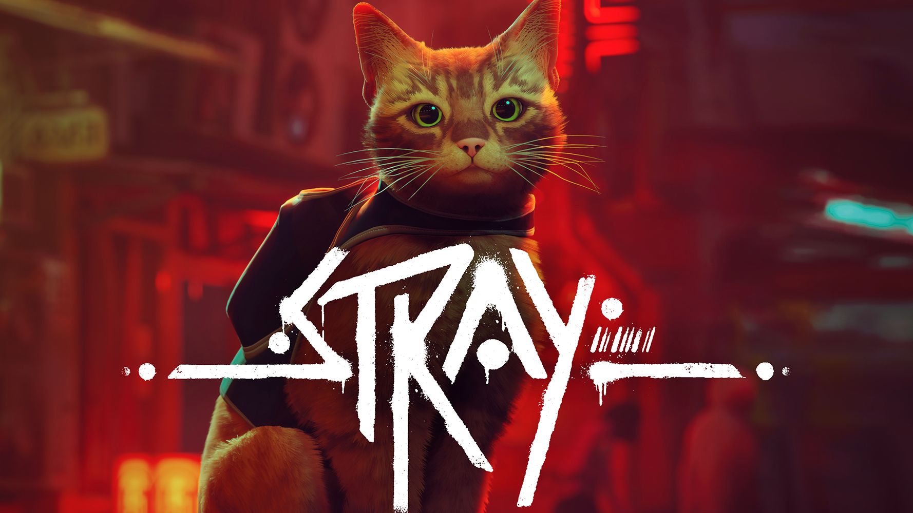 STRAY