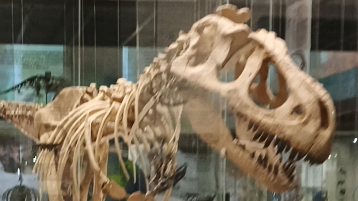Bonetale