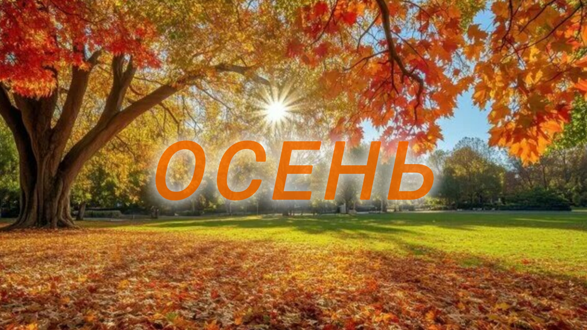 РАЗВЛЕЧЕНИЯ ОСЕНЬЮ