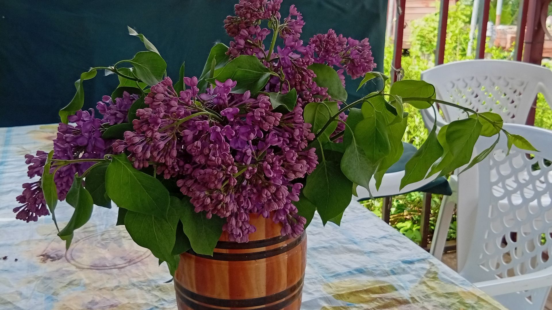 Огородные дела.