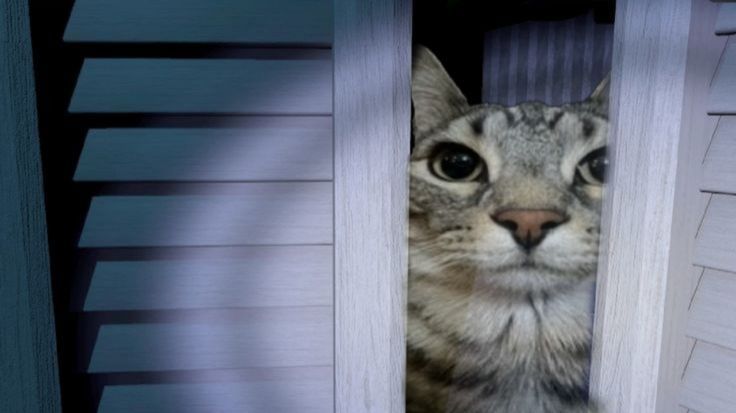 Музыка