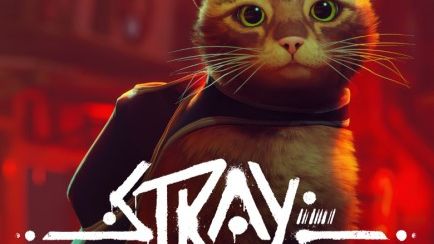 Stray