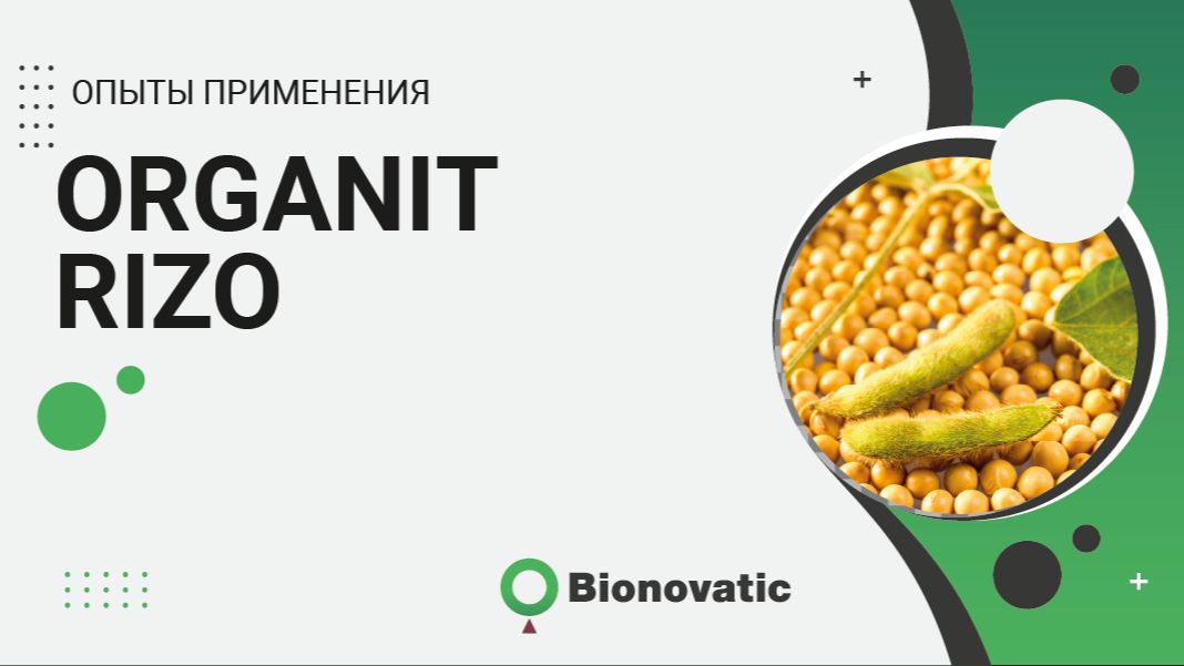 Organit Rizo - инокулянт для сои