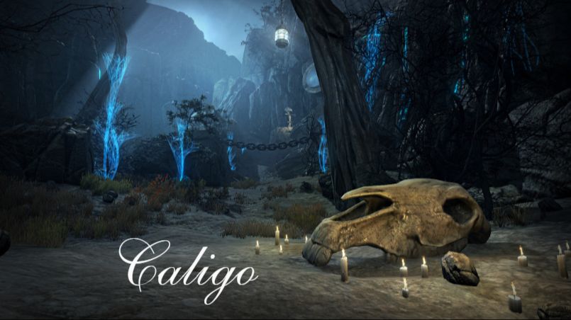 Caligo