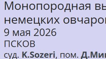 КЧК ПСКОВ 9 мая`26 K.Sozeri Моно немецких овчарок