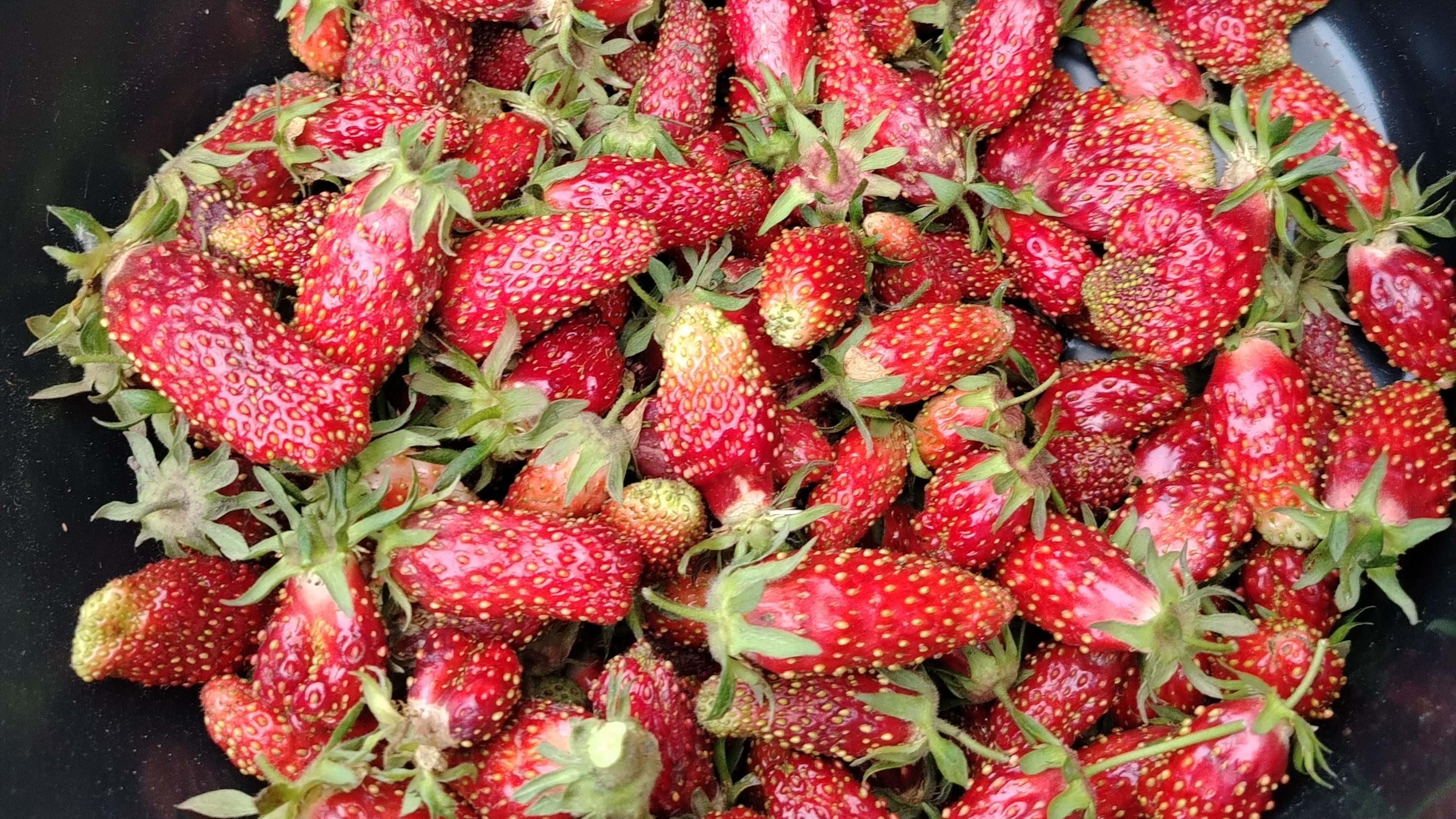 Клубника 🍓🍓🍓