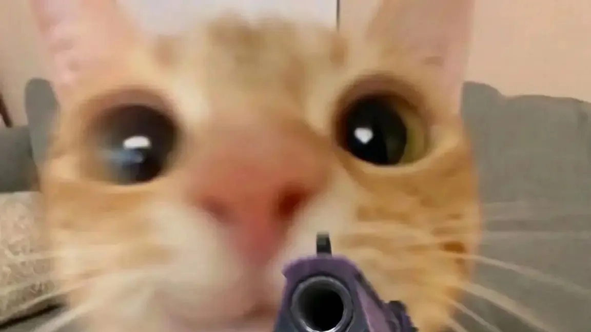 ТТ