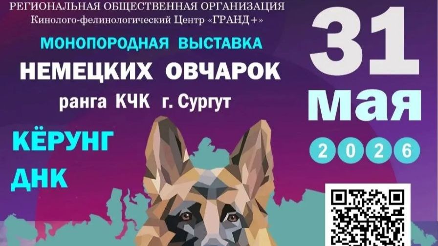 КЧК СУРГУТ 31 мая`26 Е.Никитина Моно немецких овчарок