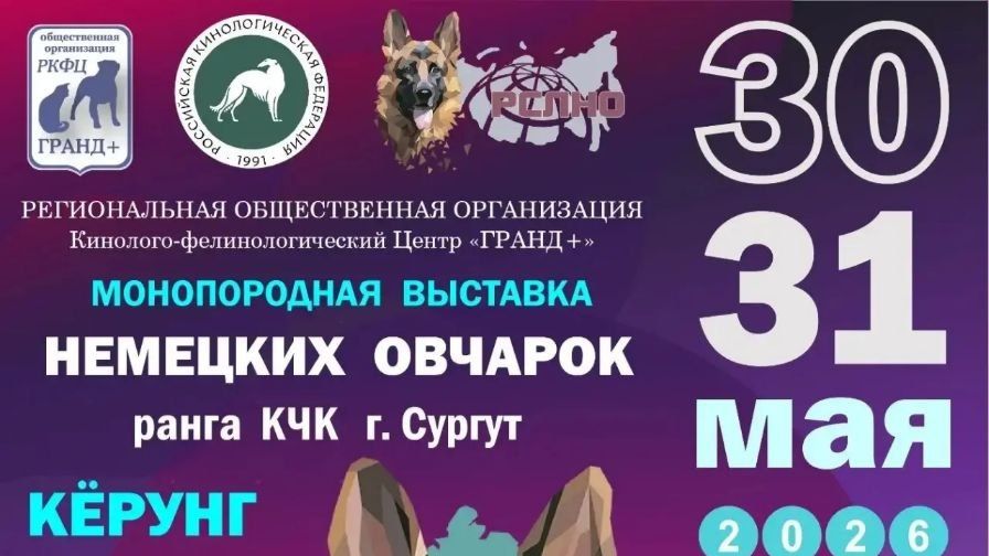 КЧК СУРГУТ 30 мая`26 А.Кейвомяги Моно немецких овчарок