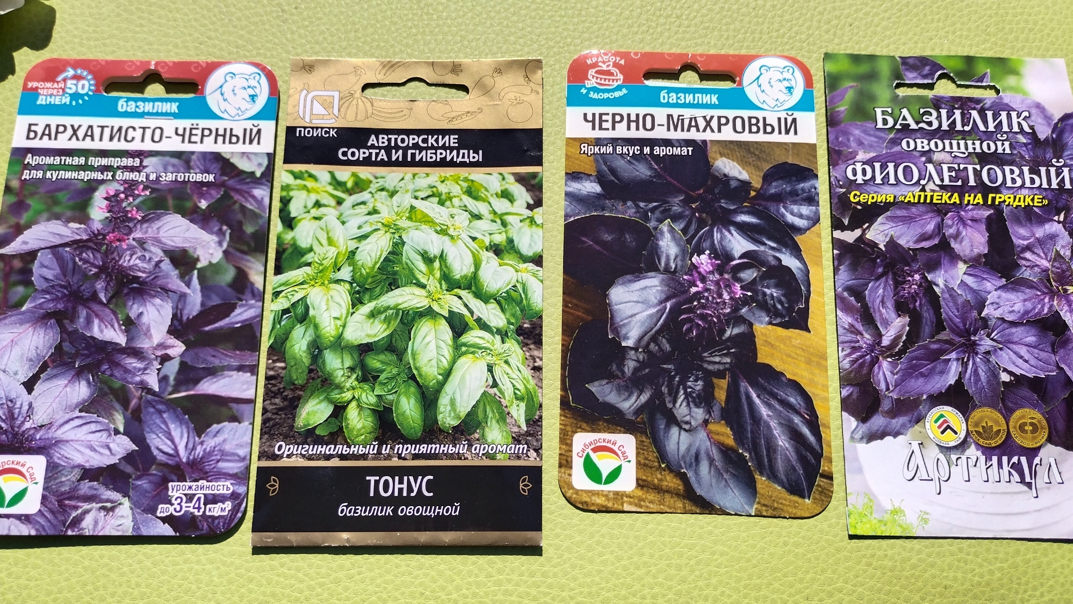 Базилик мужская трава