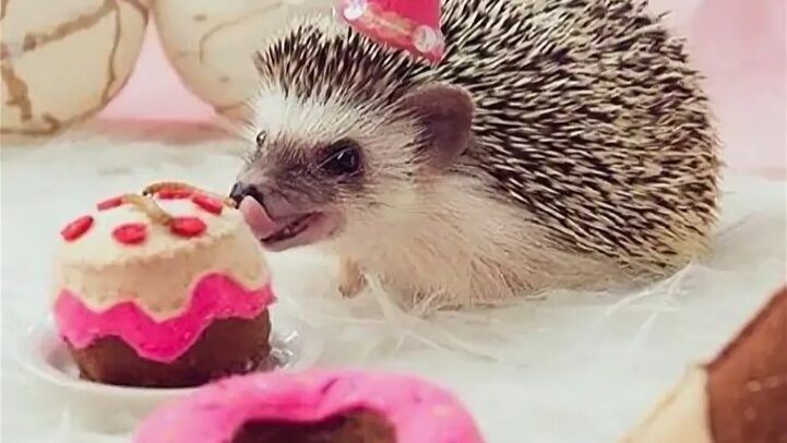 Лайфстайл