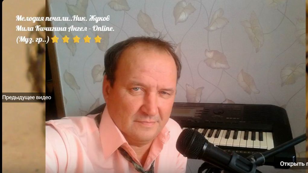 VIP COLLECTIONS - N  ZHUKOV S VOROBYOV.⭐⭐⭐⭐⭐