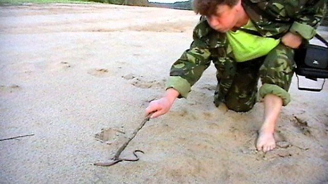 ВОДНЫЕ ПОХОДЫ. ВЕТЛУГА