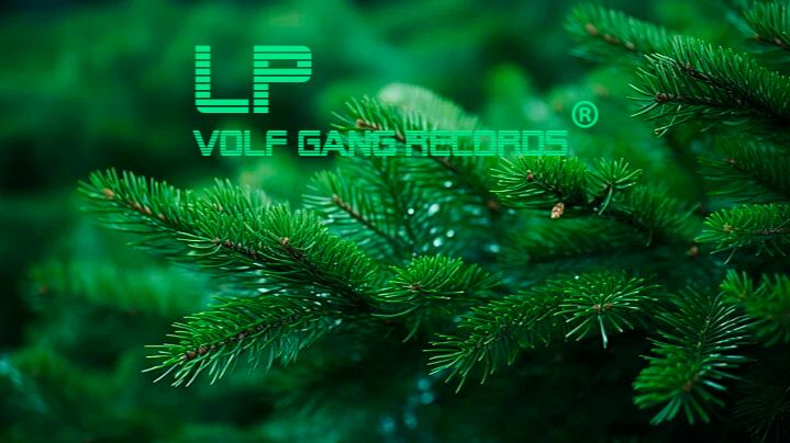 LP