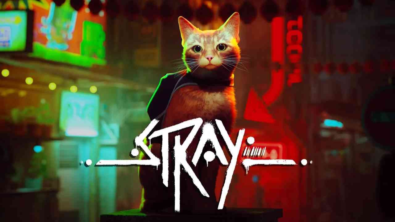 Stray (2022)