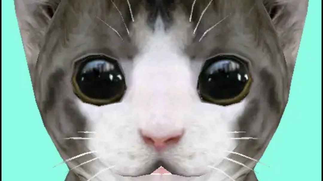 Кошка Симулятор Онлайн