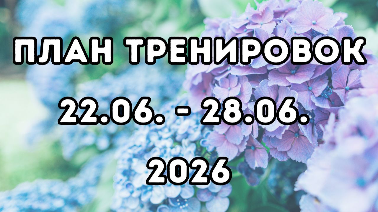 План тренировок, 4-я неделя июнь 2026