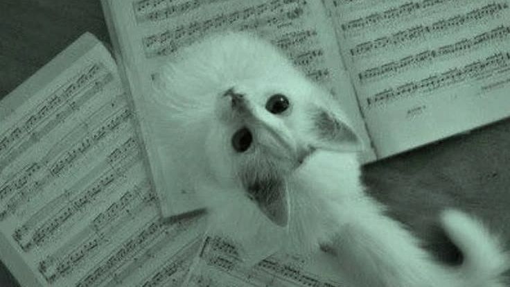 Другое//