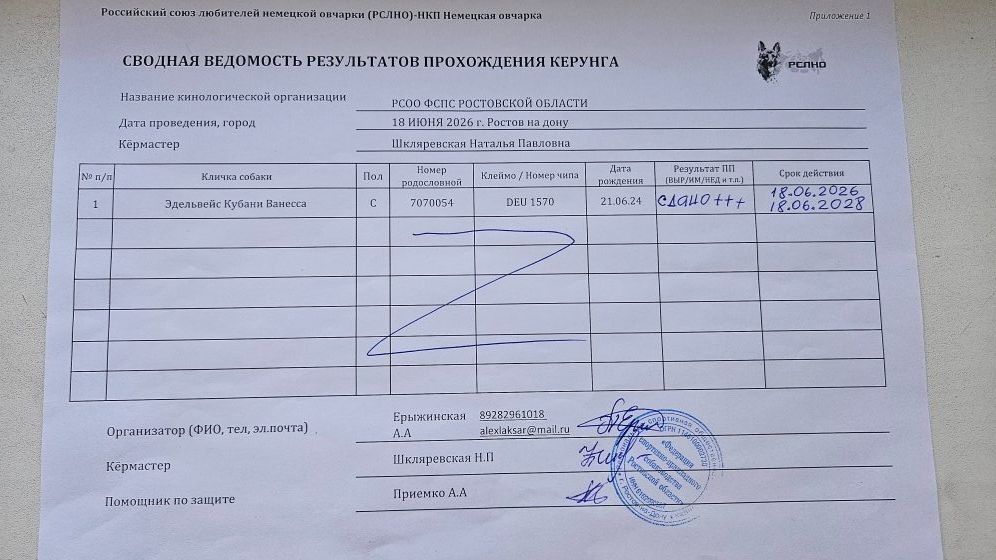 Кёрунг РОСТОВ-НА-ДОНУ 18 июн`26 (Н.Шкляревская) 1 собака