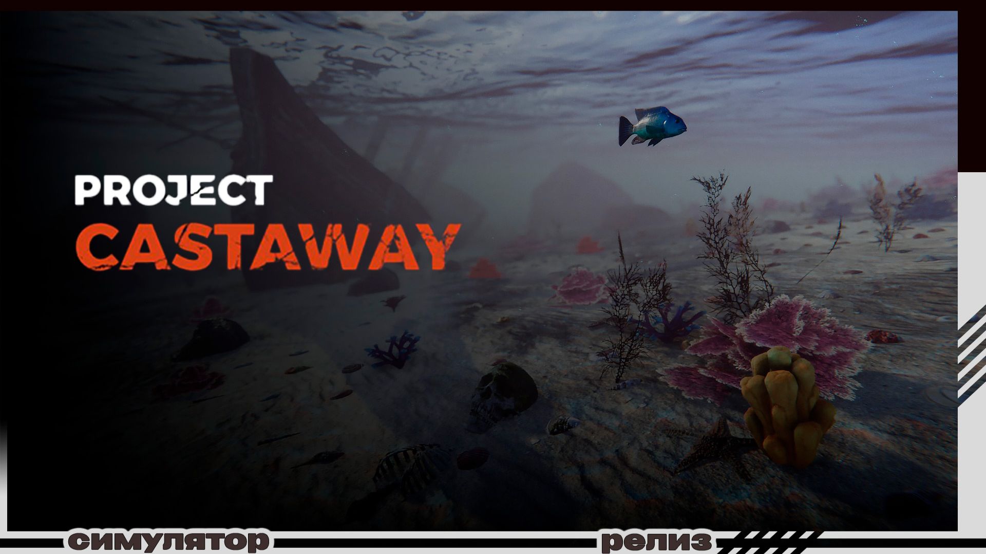 Project Castaway