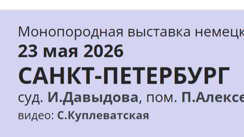 КЧК САНКТ-ПЕТЕРБУРГ 23 мая`26 И.Давыдова Моно немецких овчарок