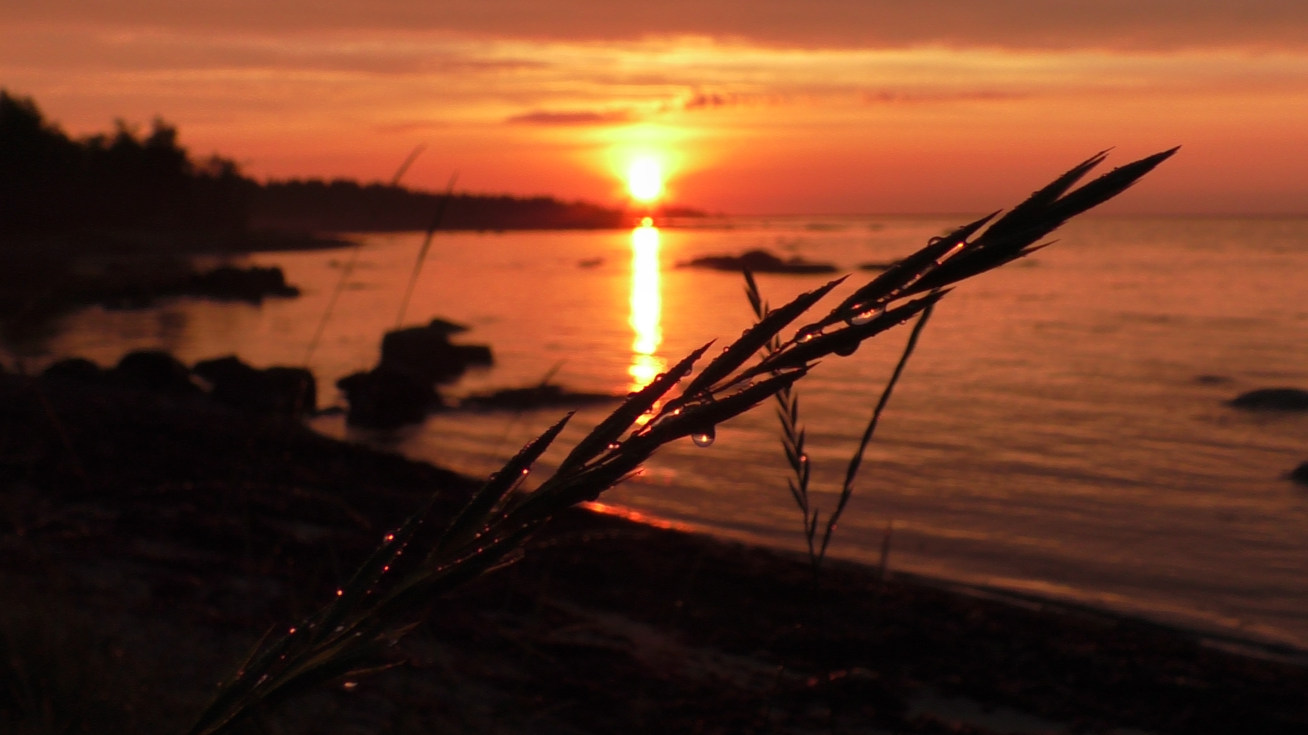 Белое море