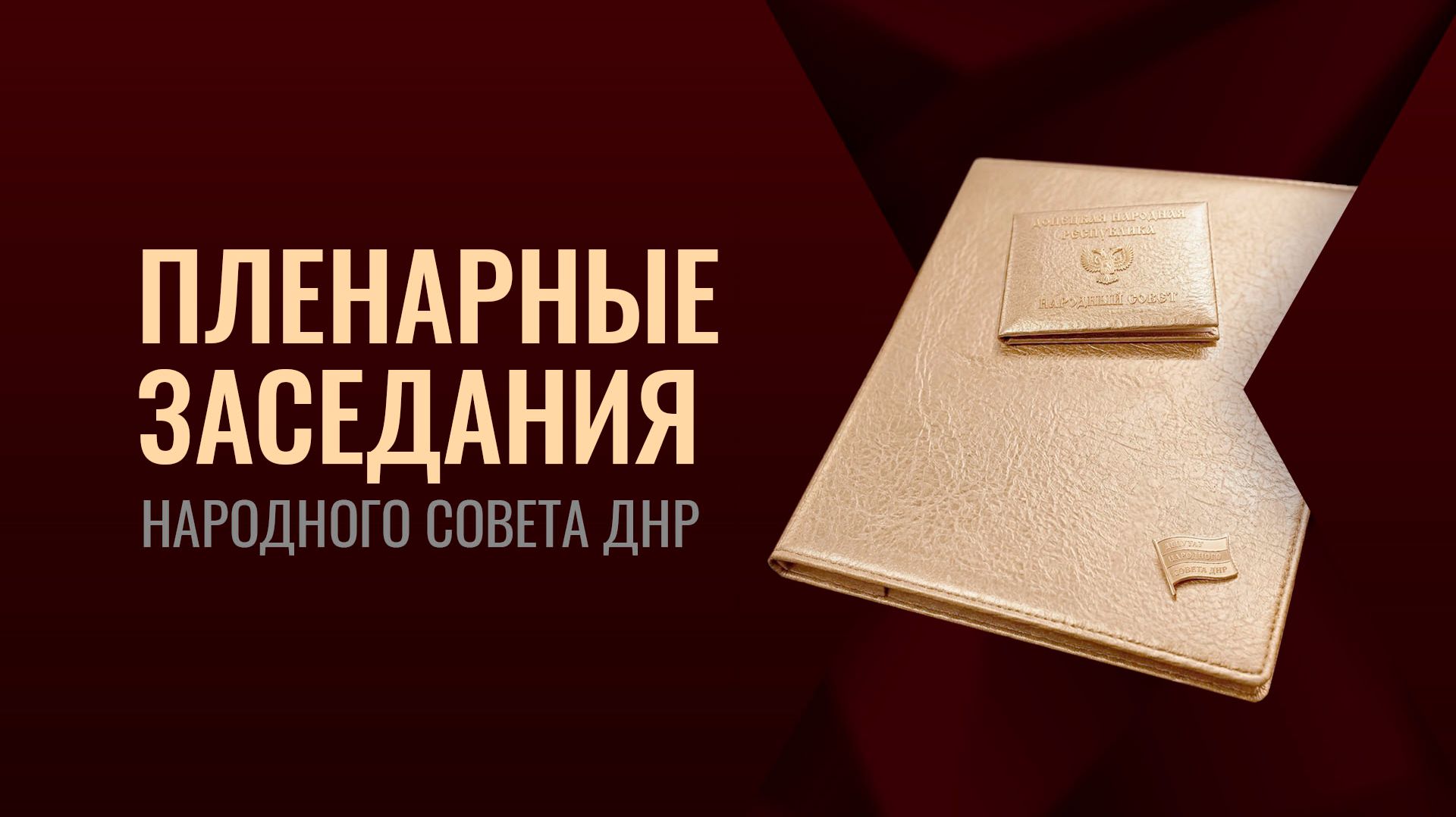 Пленарные заседания Народного Совета ДНР