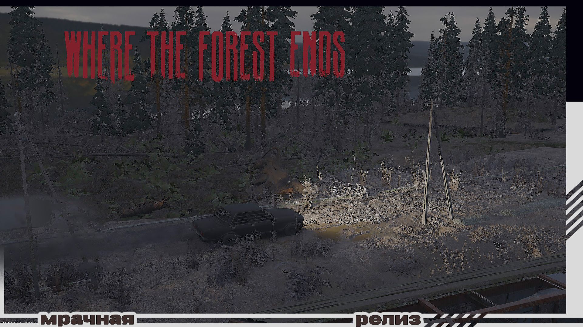 Where the forest ends